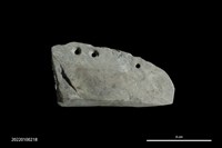 藏品(石刀)的圖片